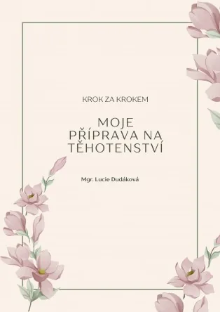 Obálka e-booku Moje příprava na těhotenství